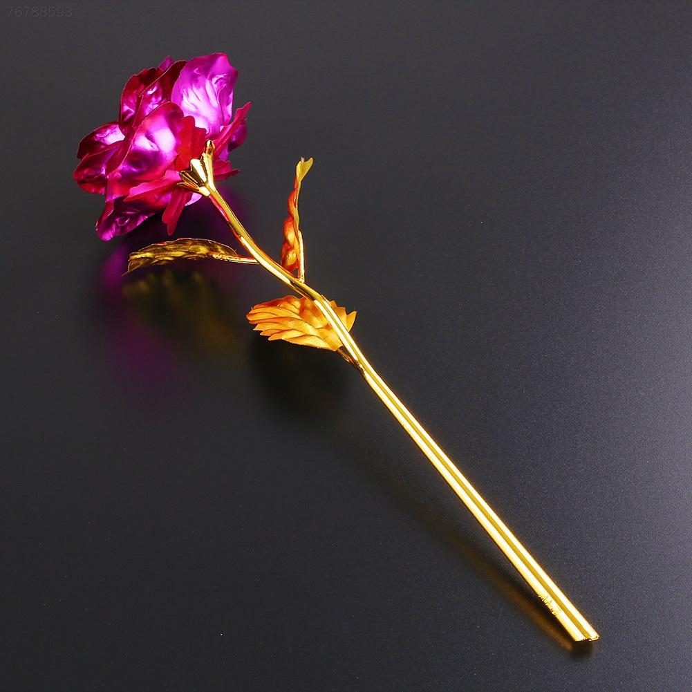 24k Gold Rose
