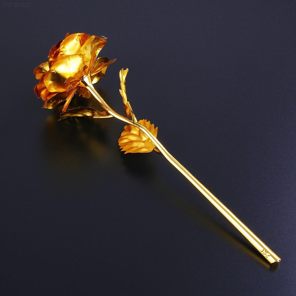 24k Gold Rose