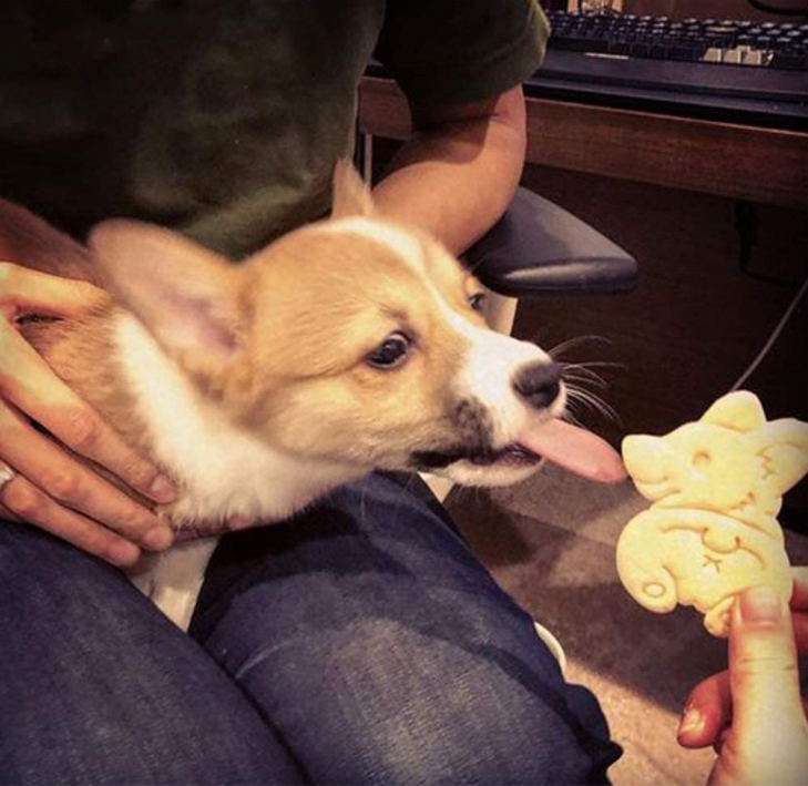 Dog Shaped Cookie Molds