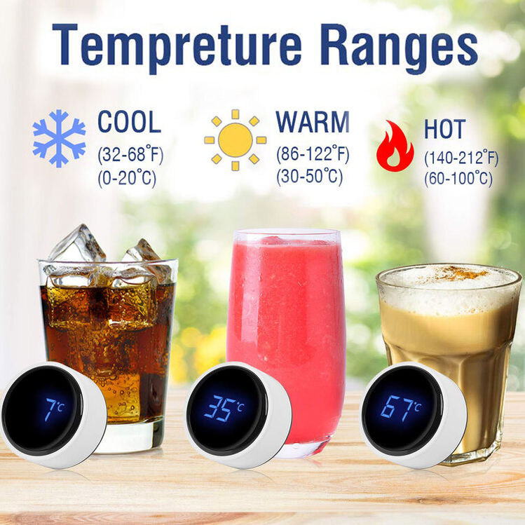 Temperature Display Vacuum Insulated Water Bottle