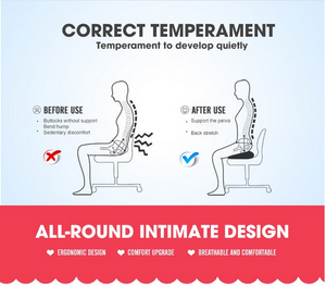 Memory Foam Seat Cushion and Lumbar Support