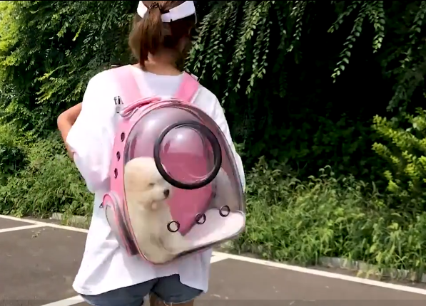 C&C Transparent Space Capsule Pet Backpack Carrier