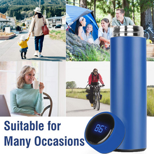 Temperature Display Vacuum Insulated Water Bottle