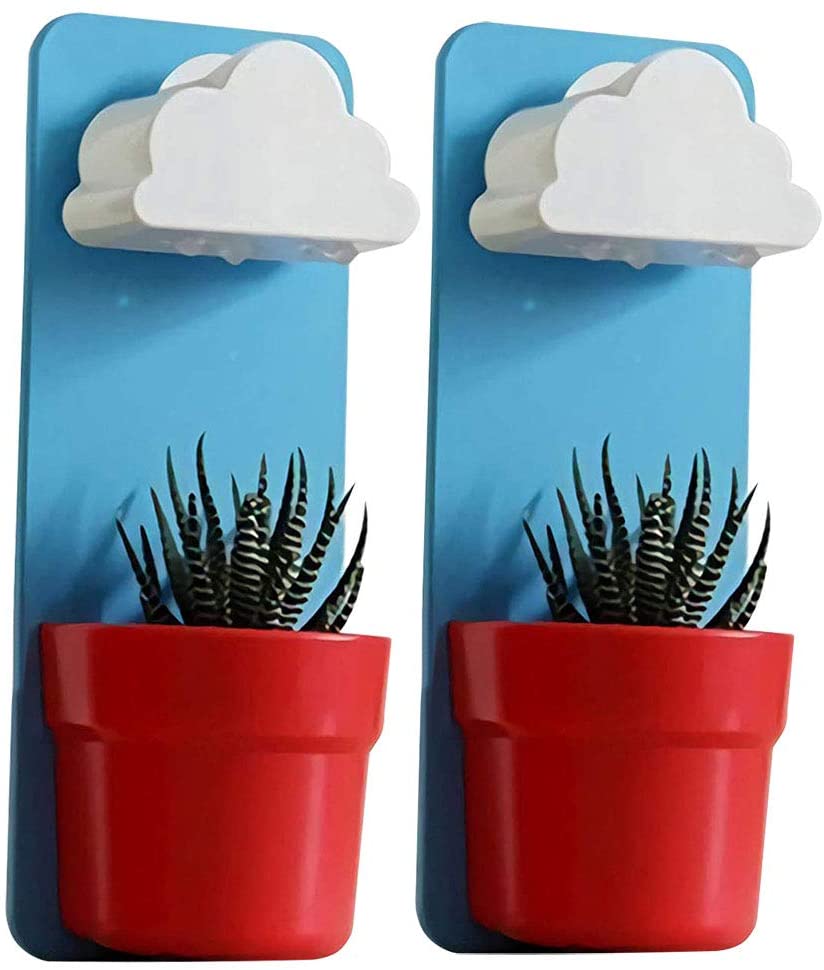 Cloud Wall Hanging Plant Pot
