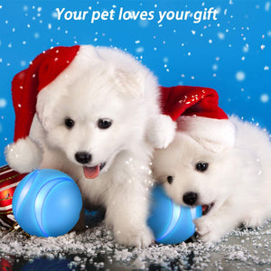 USB Rechargeable Smart Interactive Toy for Cat&Dog