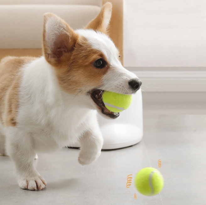 AUTOMATIC INTERACTIVE DOG TENNIS BALL LAUNCHER