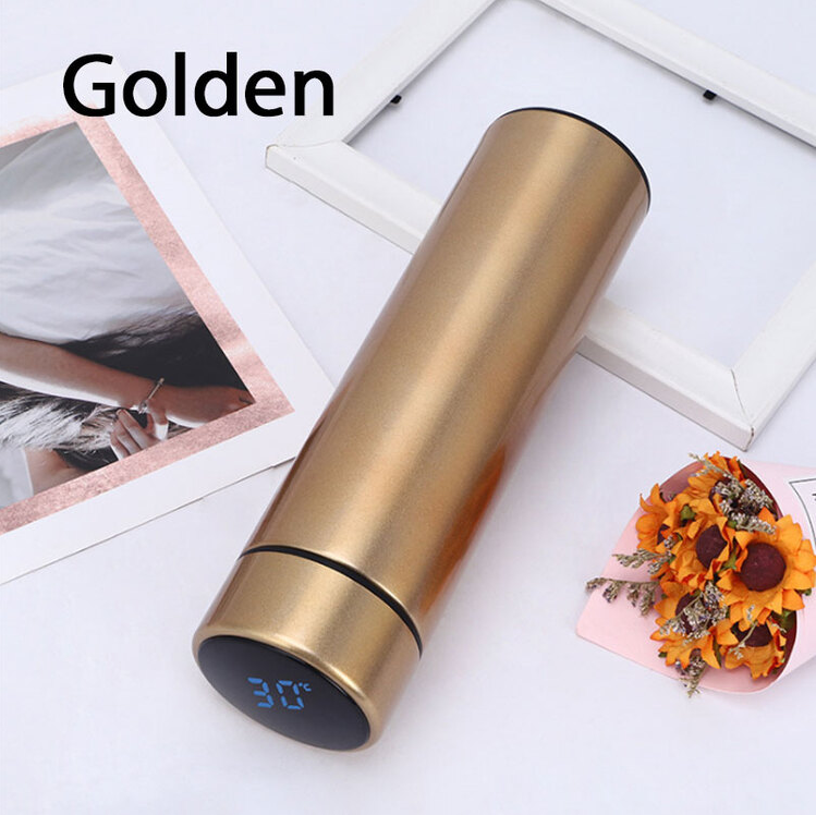 Temperature Display Vacuum Insulated Water Bottle