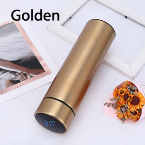 Temperature Display Vacuum Insulated Water Bottle