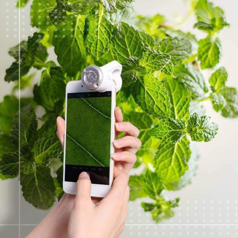 🔥Christmas Sale🔥LED Mobile Phone Microscope