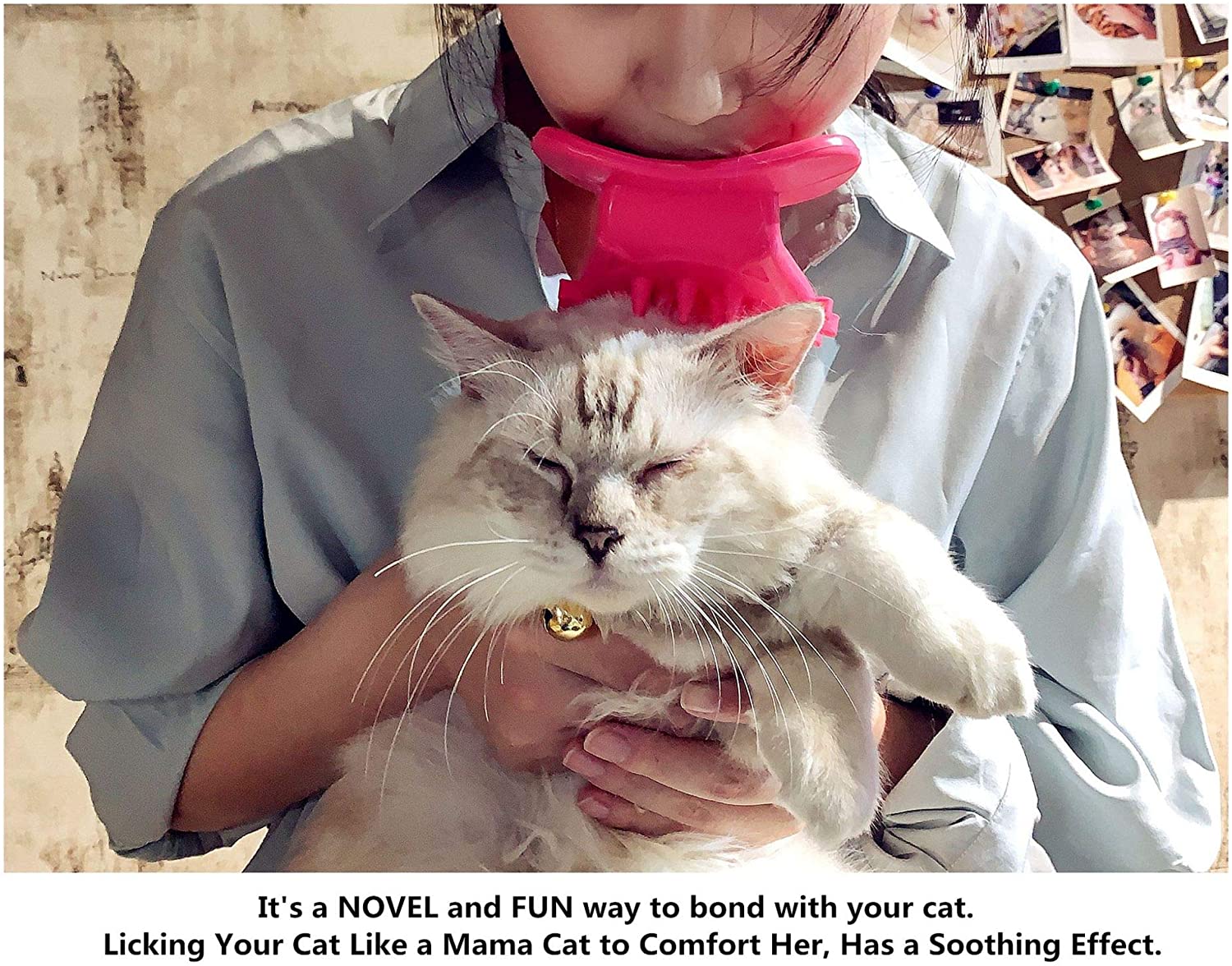 FUNNY Cat Brush,Lets You Lick Your Cat