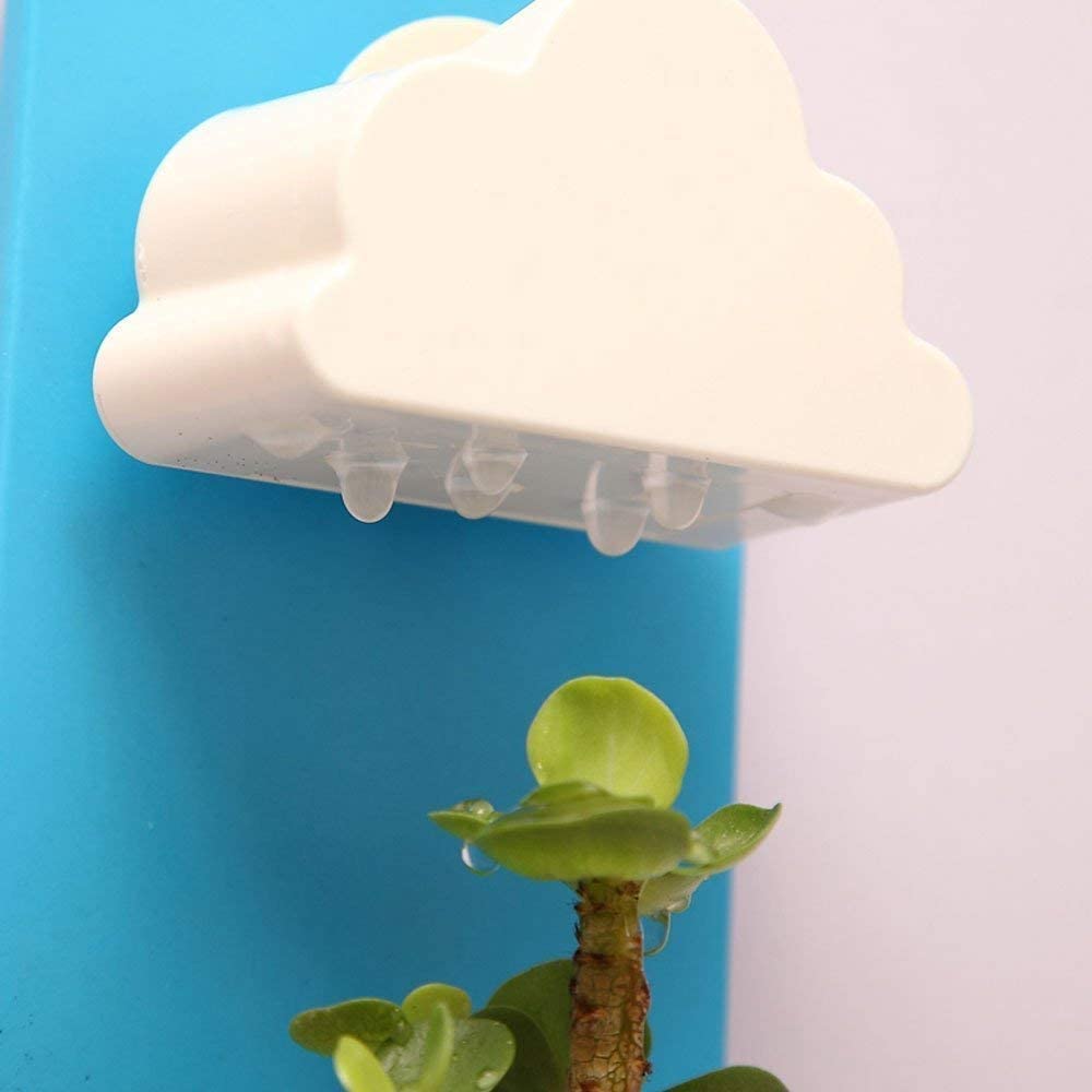 Cloud Wall Hanging Plant Pot