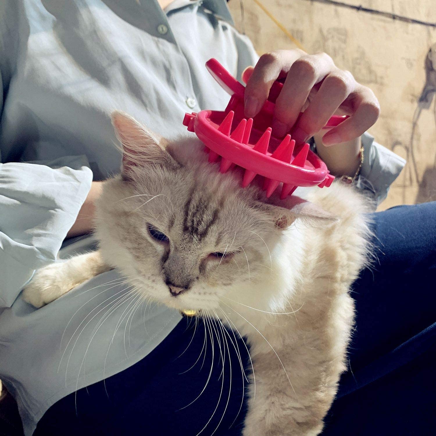 FUNNY Cat Brush,Lets You Lick Your Cat