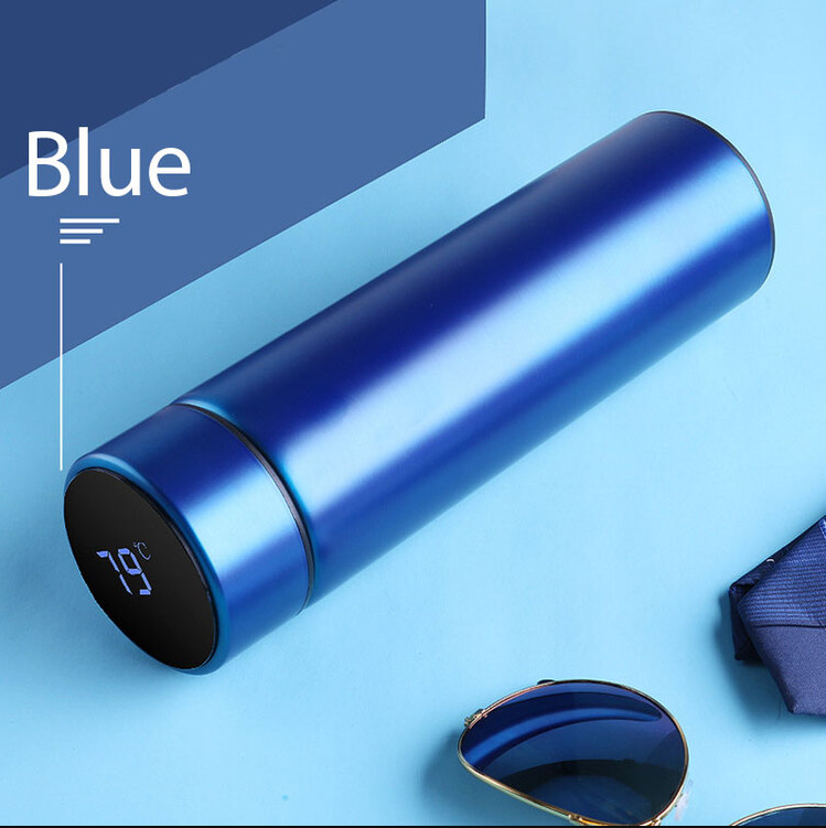 Temperature Display Vacuum Insulated Water Bottle