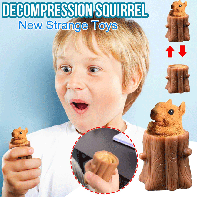 Funny Squirrel Toys for Anxiety
