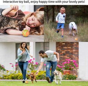 USB Rechargeable Smart Interactive Toy for Cat&Dog