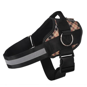 World's Best Dog Harness