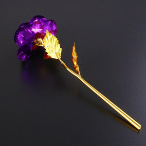 24k Gold Rose