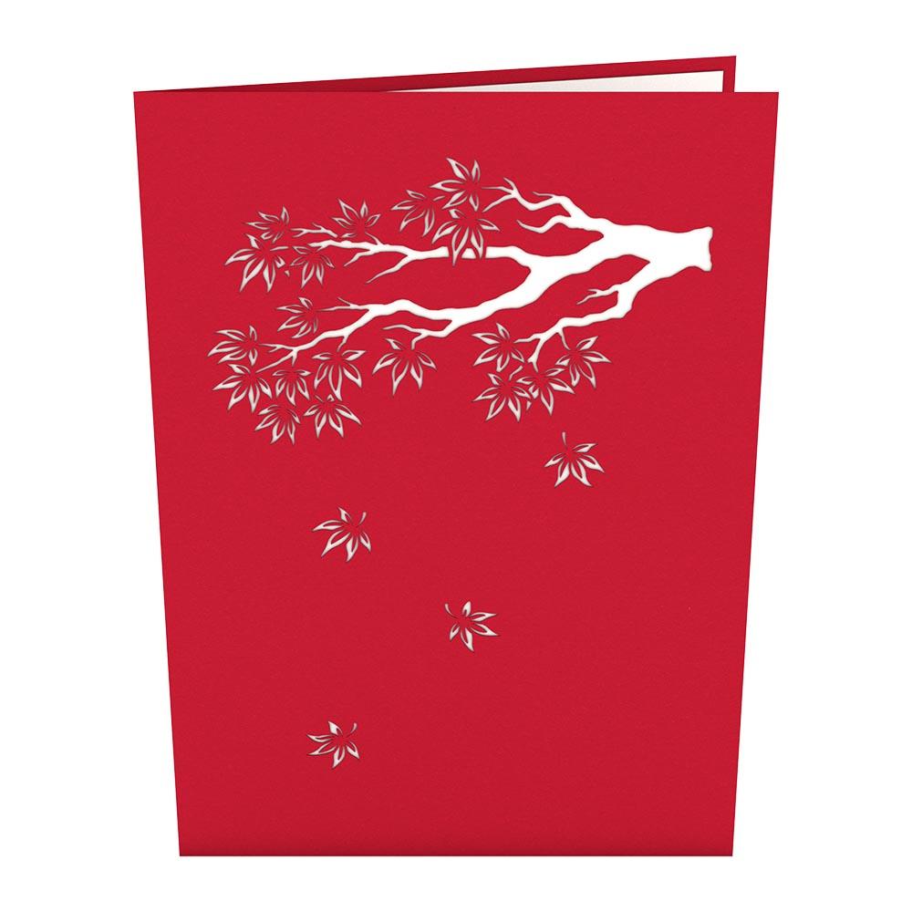 Japanese Maple