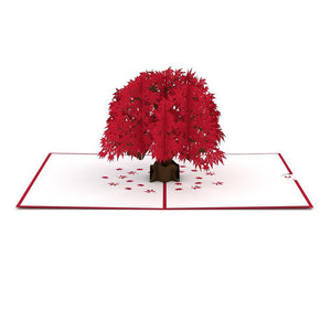 Japanese Maple