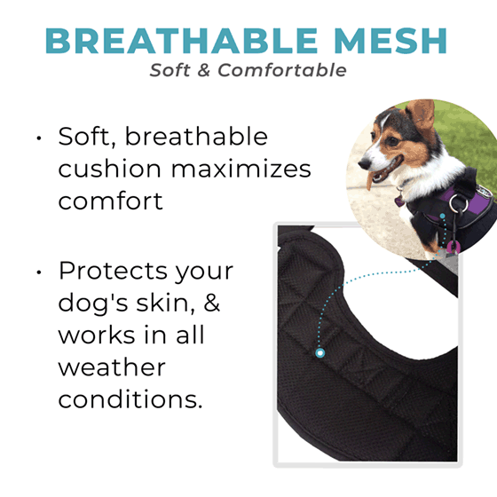World's Best Dog Harness