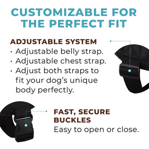 World's Best Dog Harness
