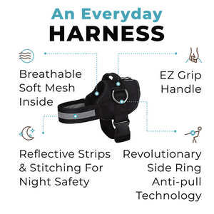 World's Best Dog Harness