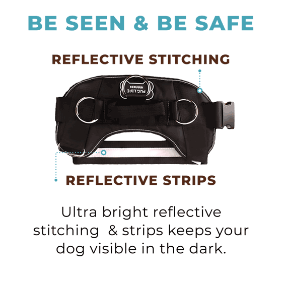 World's Best Dog Harness