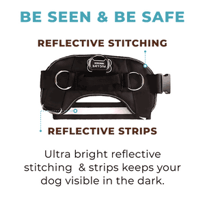 World's Best Dog Harness