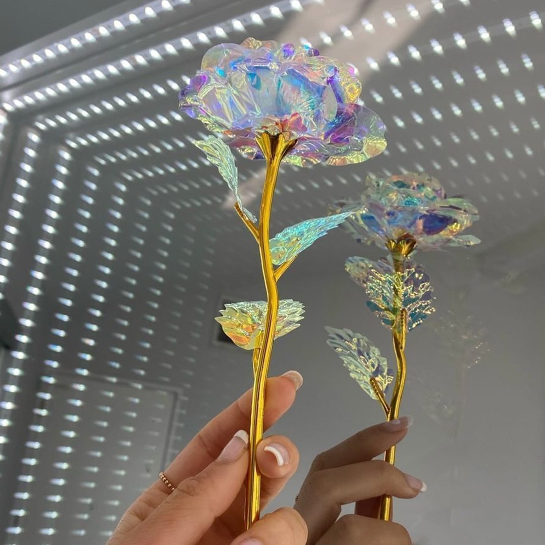 Galaxy Rose