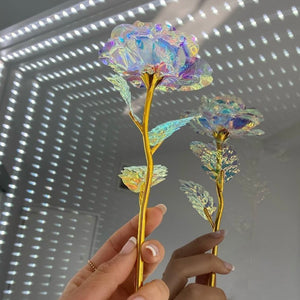 Galaxy Rose