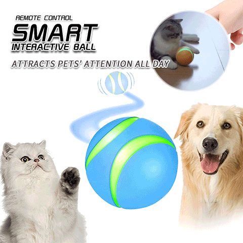 USB Rechargeable Smart Interactive Toy for Cat&Dog
