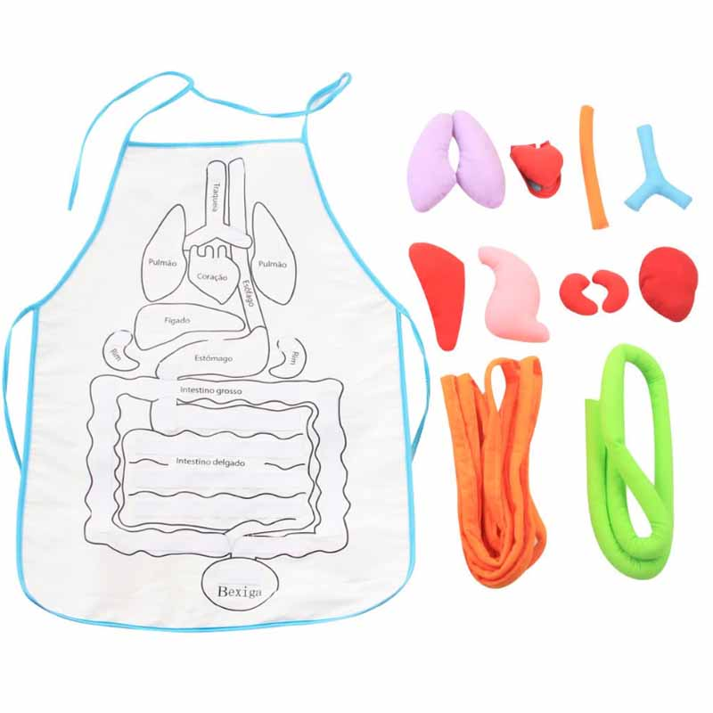 Anatomy Apron