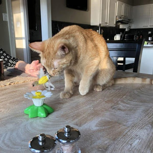 Interactive Bird Toy For Cats