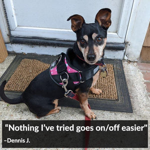 World's Best Dog Harness