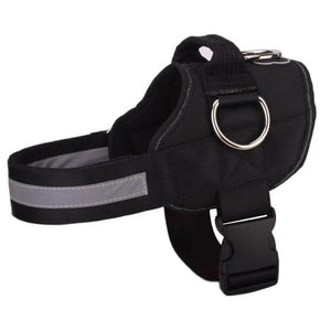 World's Best Dog Harness
