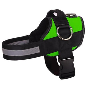 World's Best Dog Harness