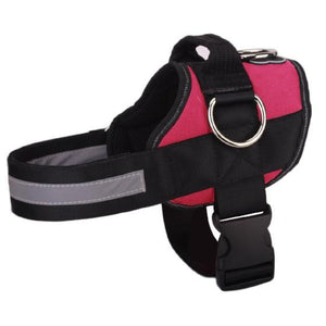 World's Best Dog Harness