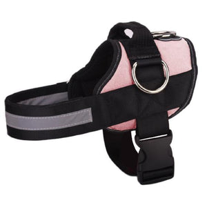World's Best Dog Harness
