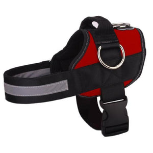 World's Best Dog Harness