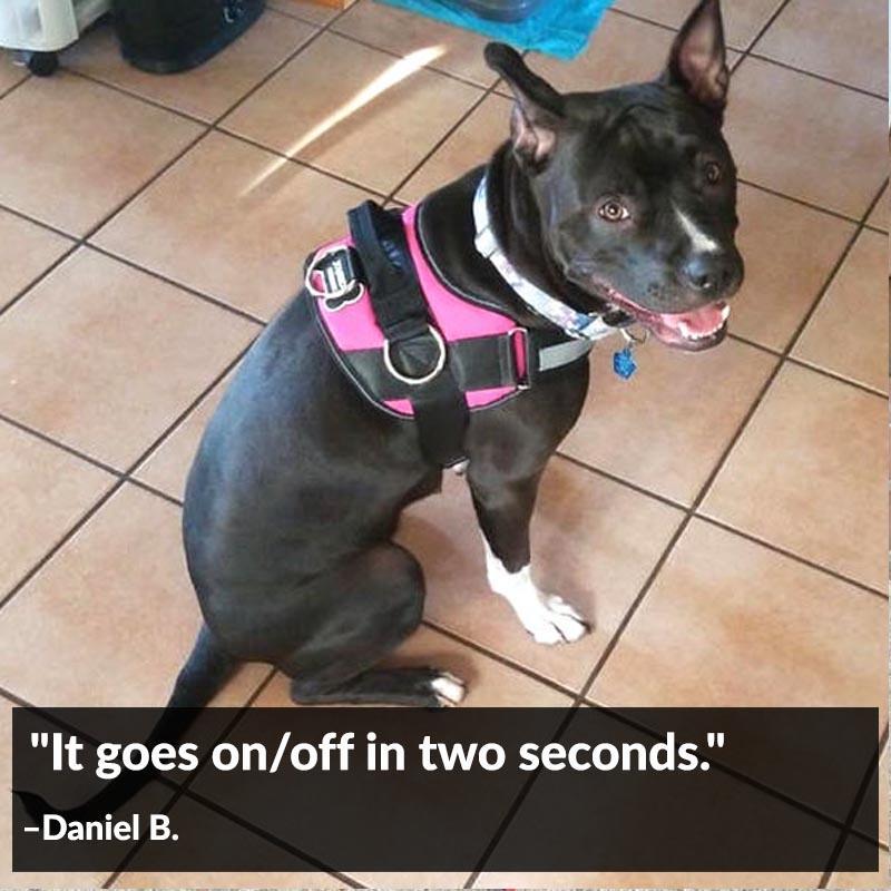 World's Best Dog Harness