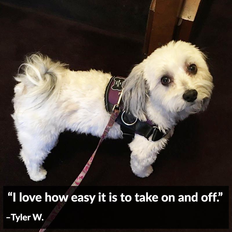 World's Best Dog Harness