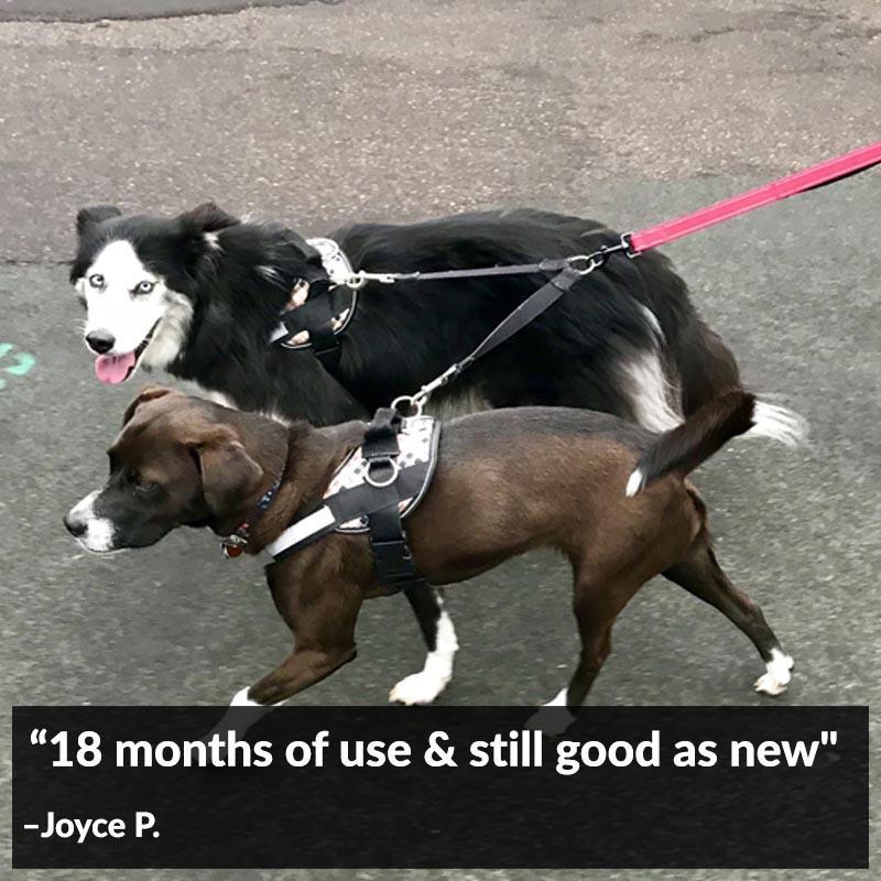 World's Best Dog Harness
